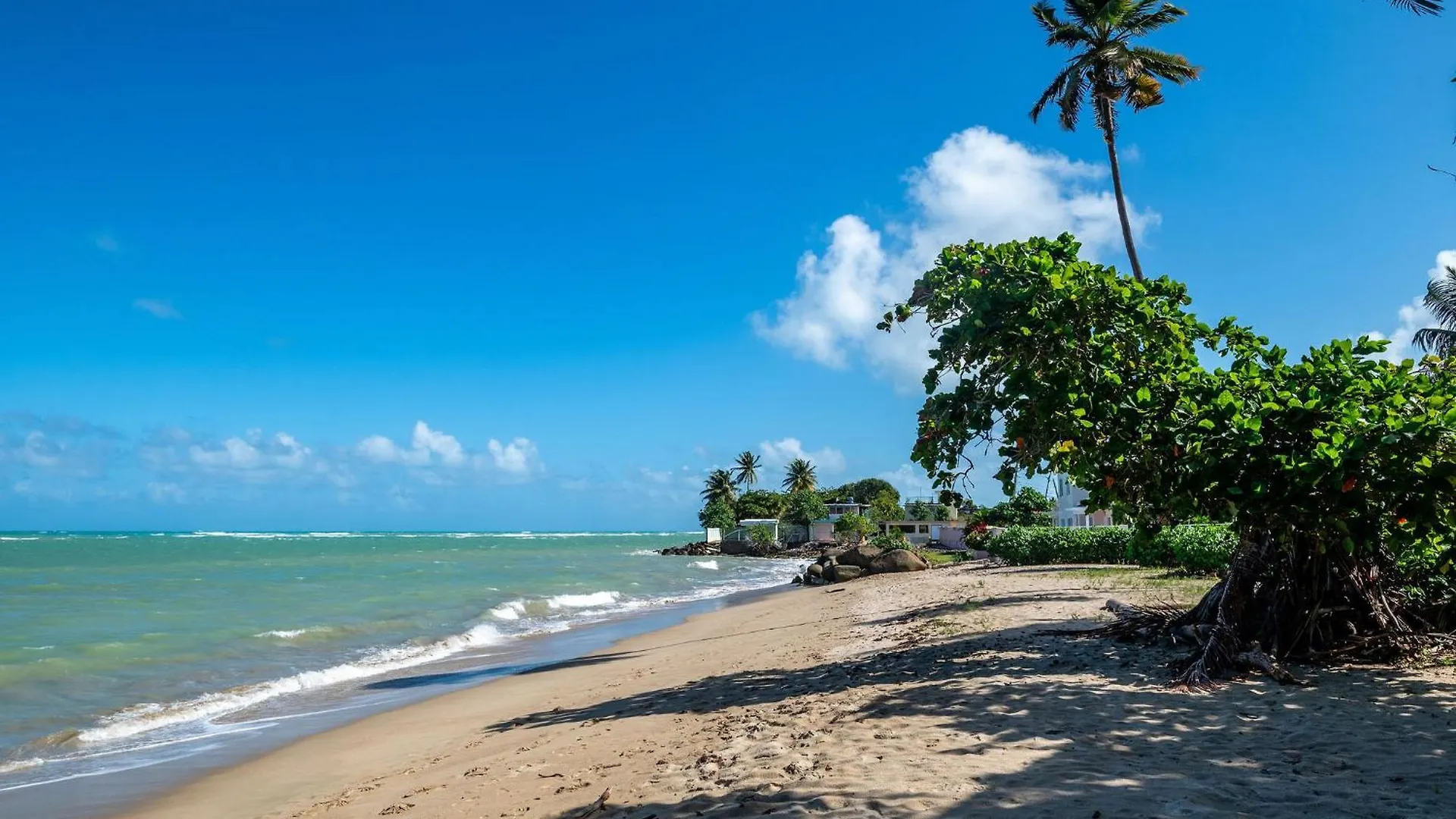 Διαμέρισμα Paradise At Aquatika Poolfront With Private Beach Vieques